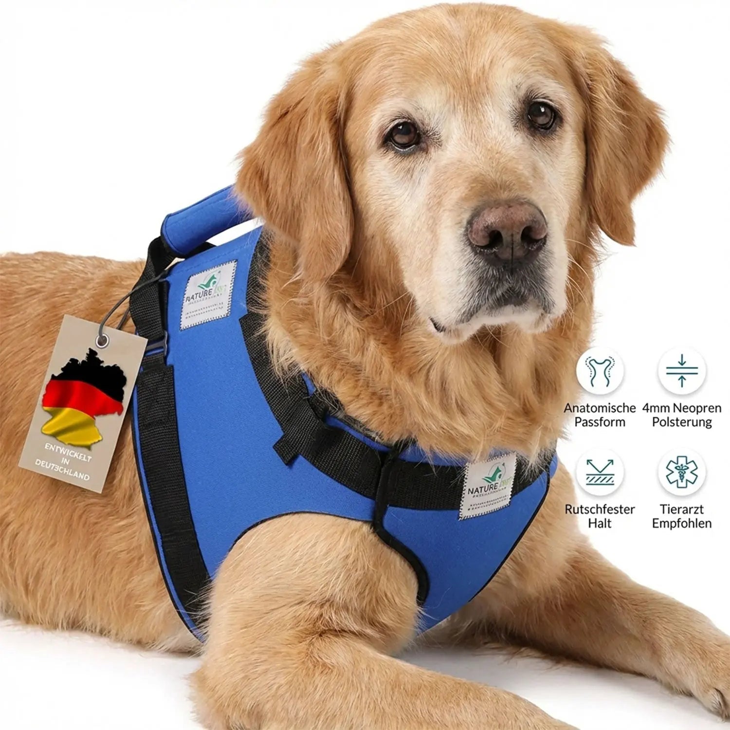 Mobilitätshilfen Hund