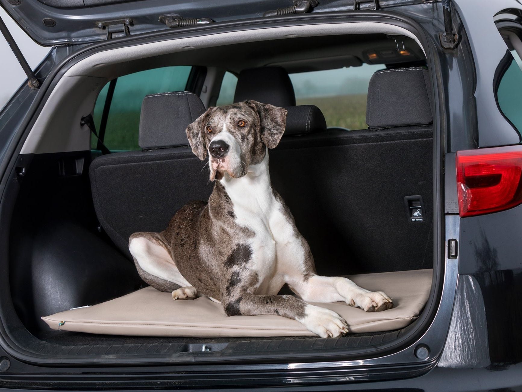 JOKKMOKK Faux Leather Dog Mat