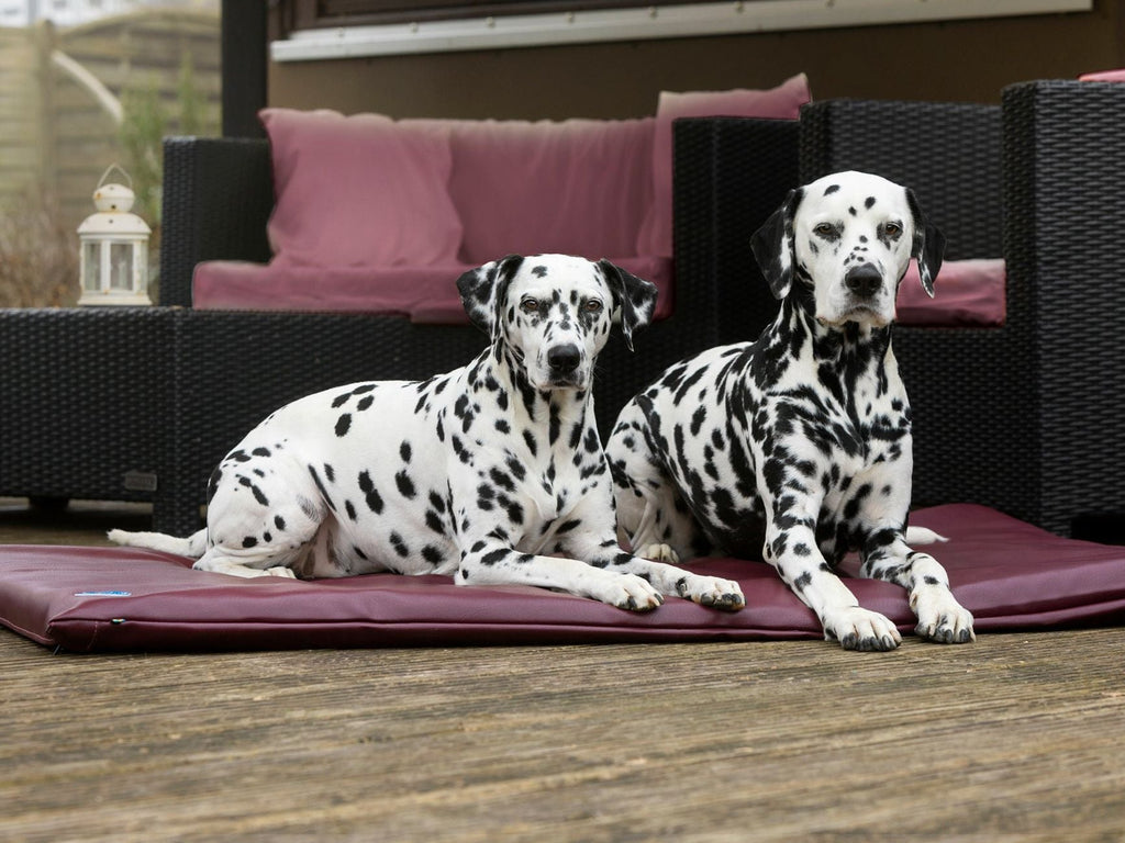 JOKKMOKK Faux Leather Dog Mat