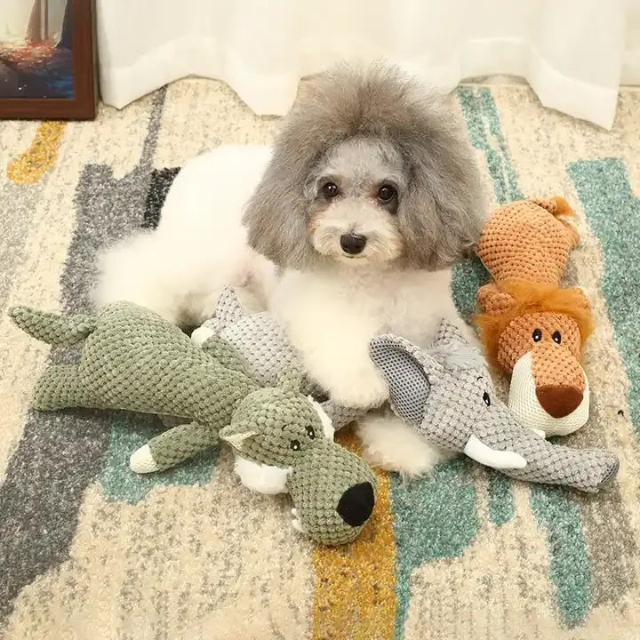 Jouet en peluche doux pour chien, jouet à rapporter avec couineur
