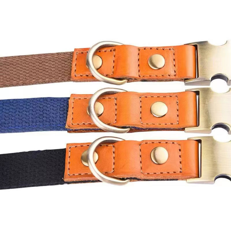 Collier pour chien « Valdo » avec gravure – sangle PE robuste et cuir – laiton mat – bleu marine, bleu clair ou vert (S–L)