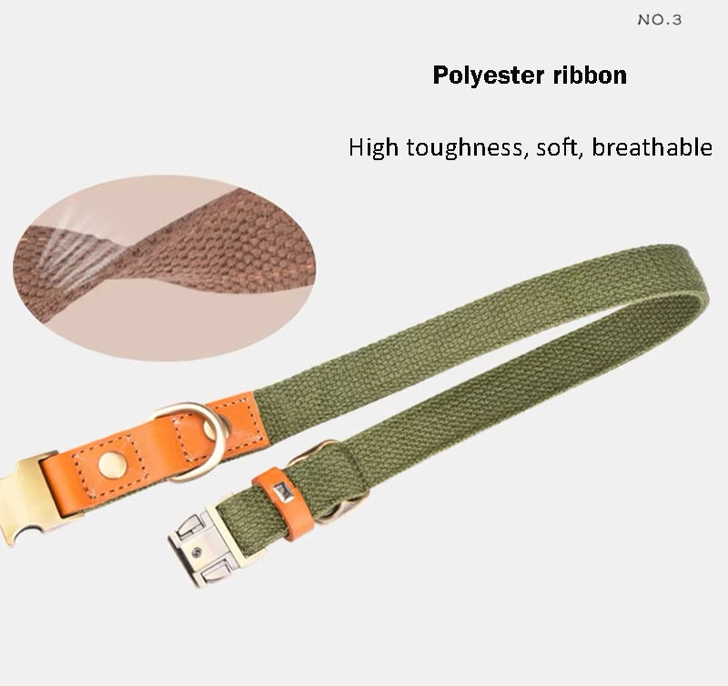 Collier pour chien « Valdo » avec gravure – sangle PE robuste et cuir – laiton mat – bleu marine, bleu clair ou vert (S–L)