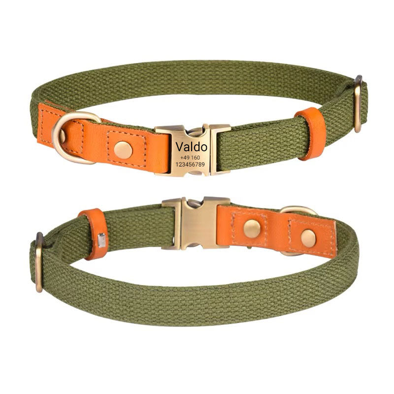 Collier pour chien « Valdo » avec gravure – sangle PE robuste et cuir – laiton mat – bleu marine, bleu clair ou vert (S–L)