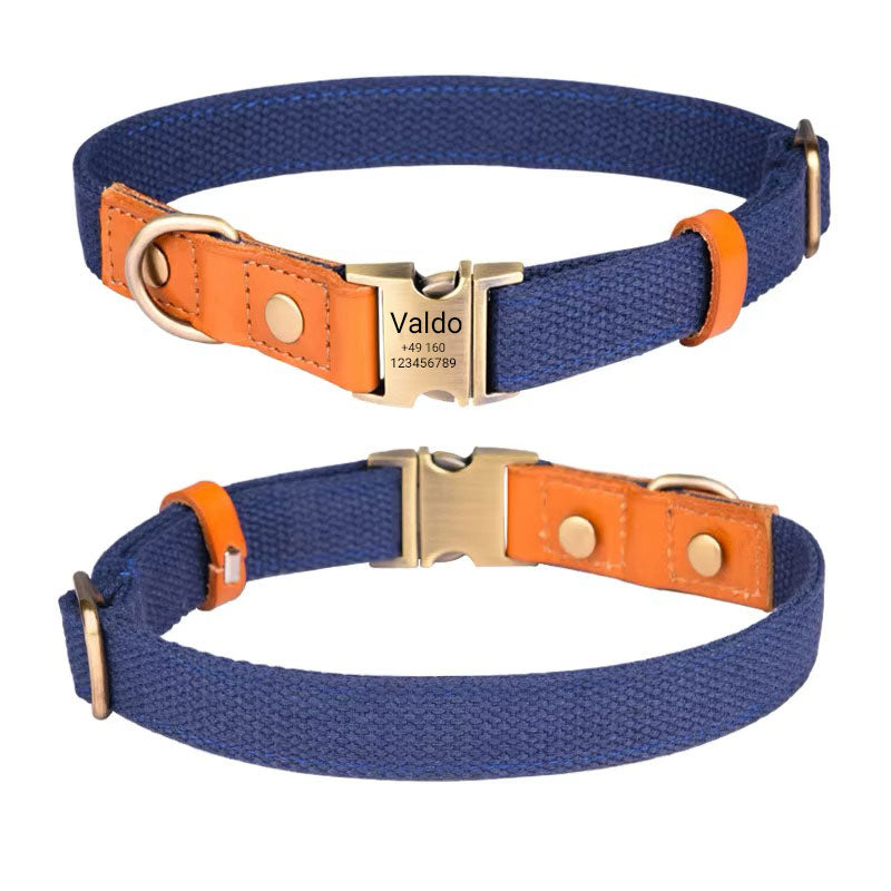 Collier pour chien « Valdo » avec gravure – sangle PE robuste et cuir – laiton mat – bleu marine, bleu clair ou vert (S–L)