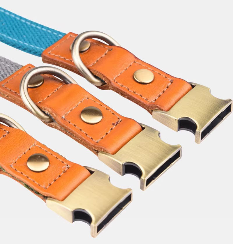 Collier pour chien « Valdo » avec gravure – sangle PE robuste et cuir – laiton mat – bleu marine, bleu clair ou vert (S–L)