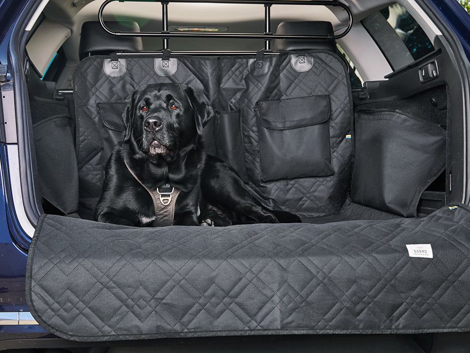 RESA Boot Liner