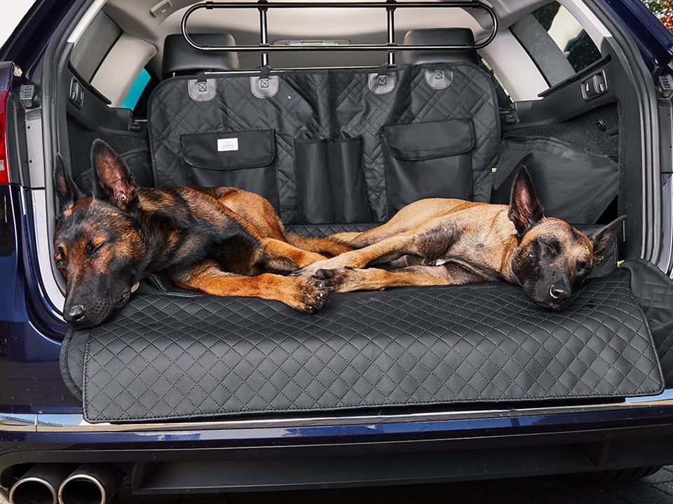 RESA Boot Liner