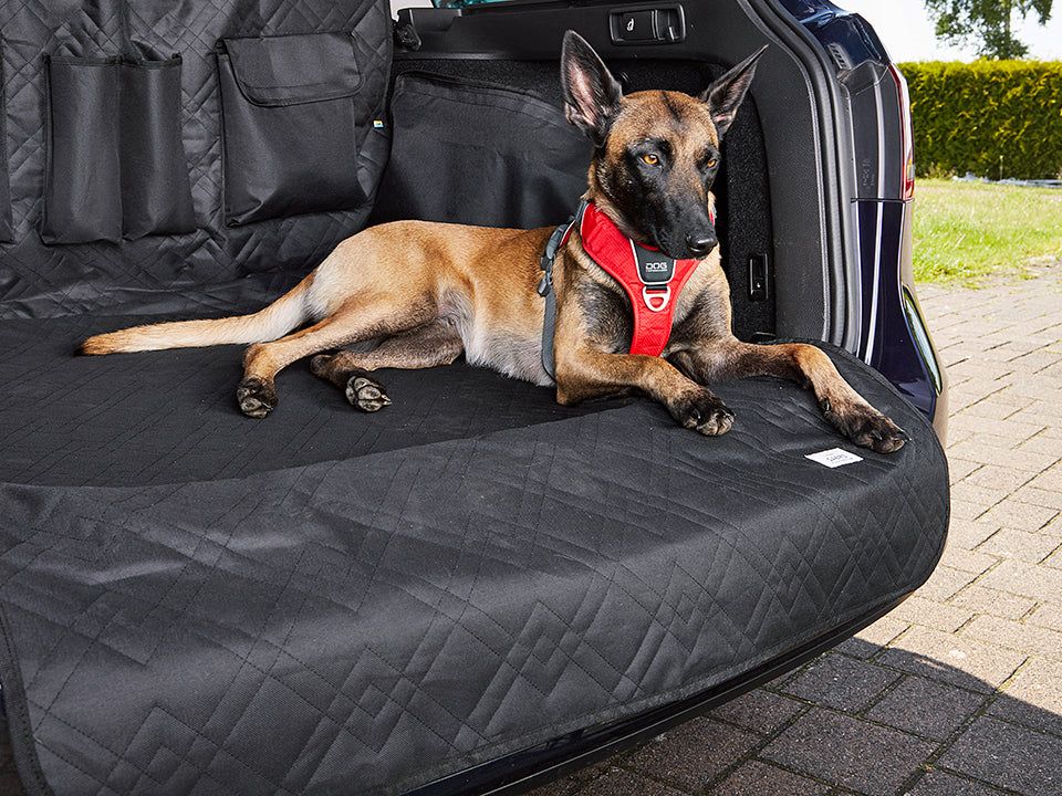 RESA Boot Liner