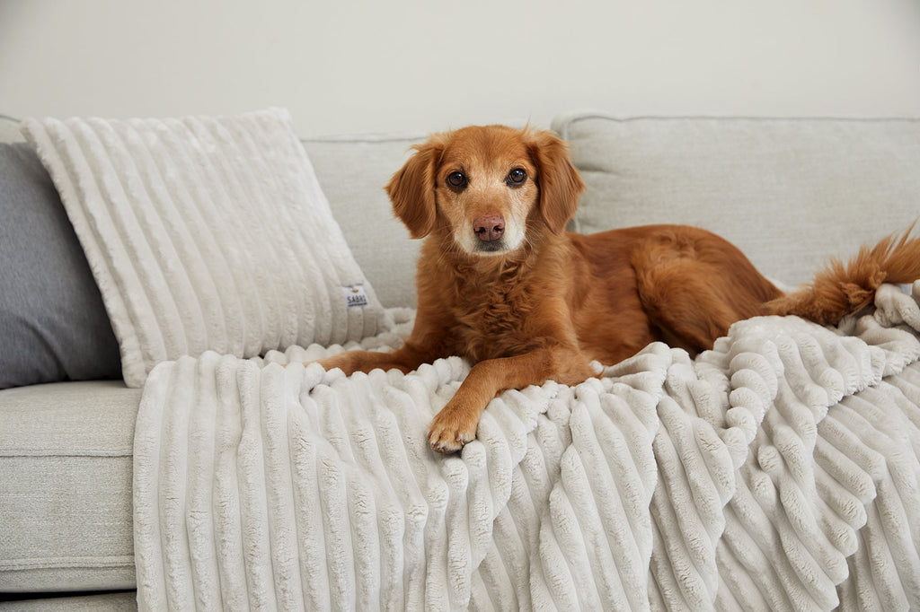 VÄRME Wide-Wale Cord Cuddle Blanket