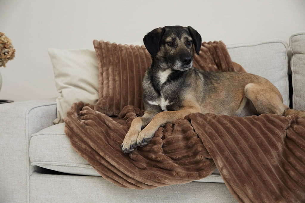 VÄRME Wide-Wale Cord Cuddle Blanket