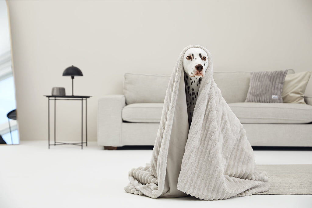 VÄRME Wide-Wale Cord Cuddle Blanket