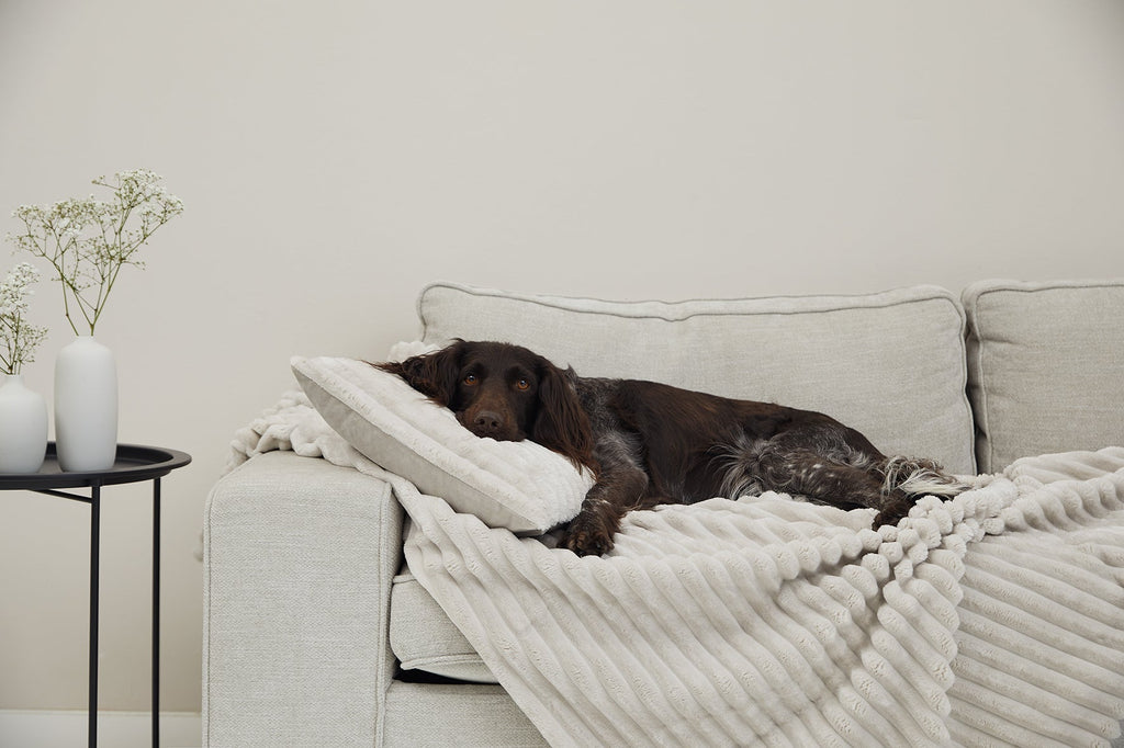 VÄRME Wide-Wale Cord Cuddle Blanket