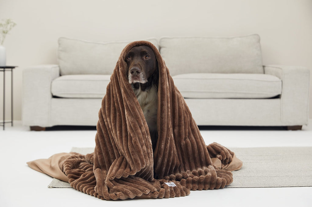 VÄRME Wide-Wale Cord Cuddle Blanket