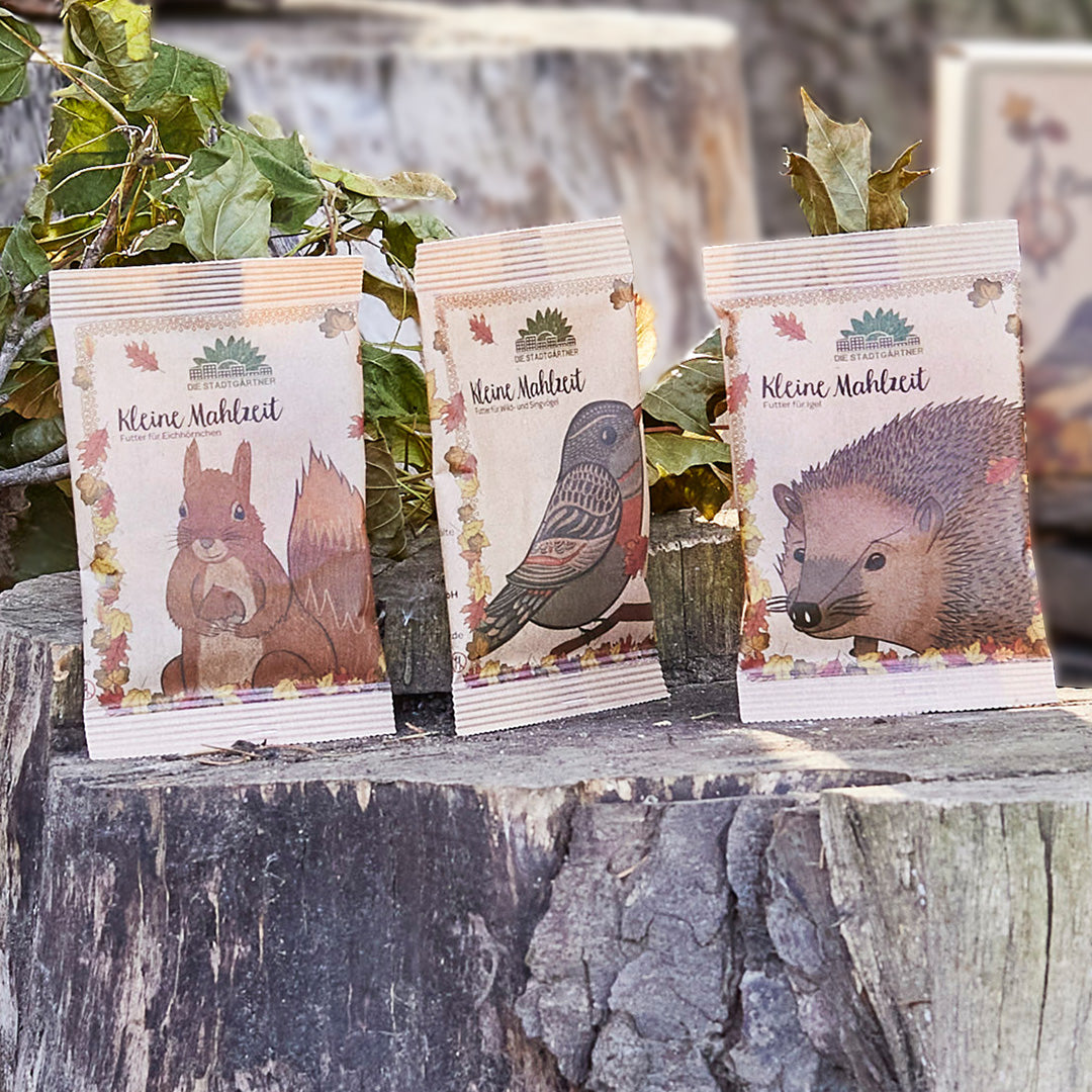 3 kleine Mahlzeiten für Igel, Eichhörnchen & Vögel