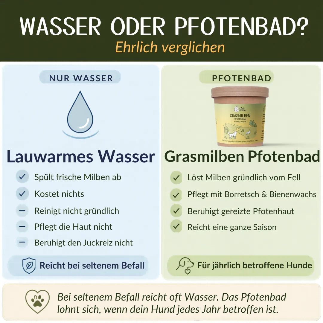 Pfotenbad Grasmilben