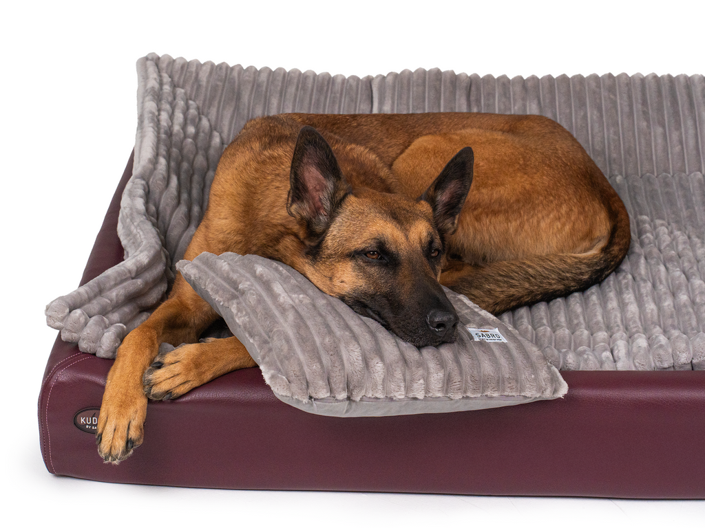 Pack Détente Complet | Lit pour chien KUDDE + Doublure & Coussin