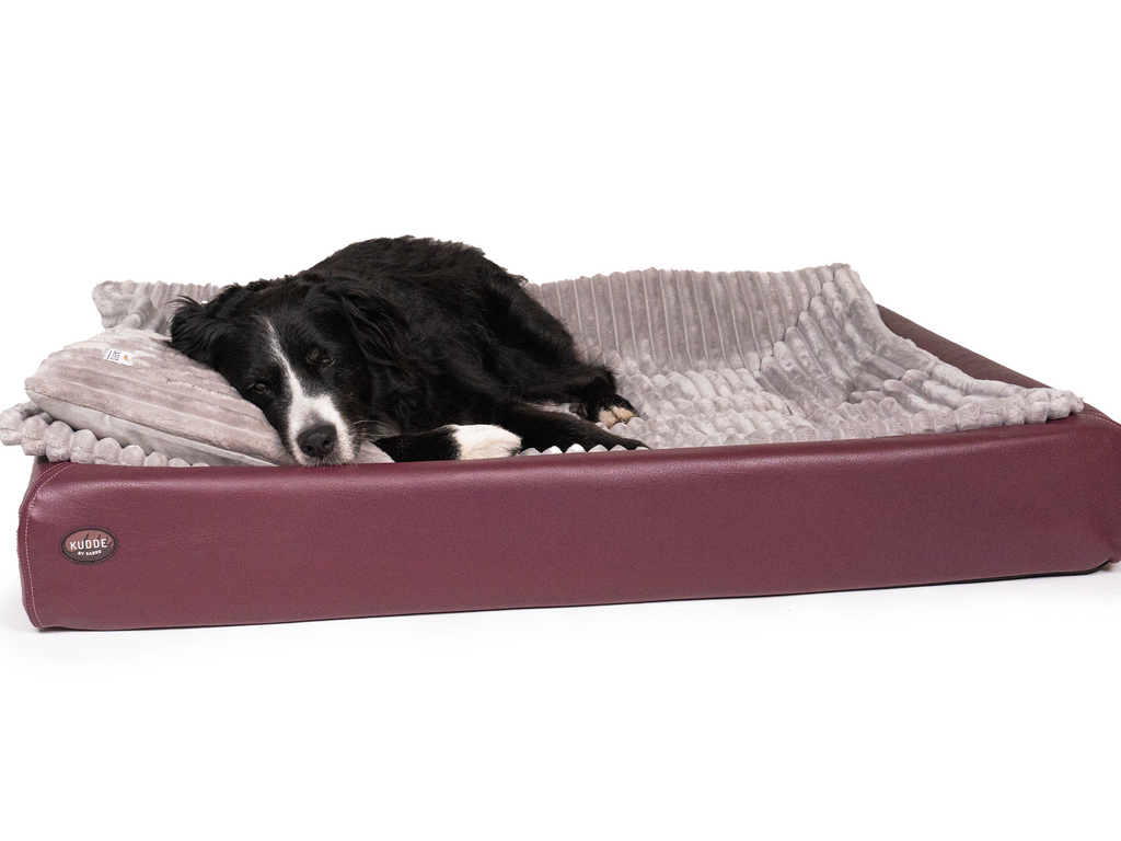 Pack Détente Complet | Lit pour chien KUDDE + Doublure & Coussin