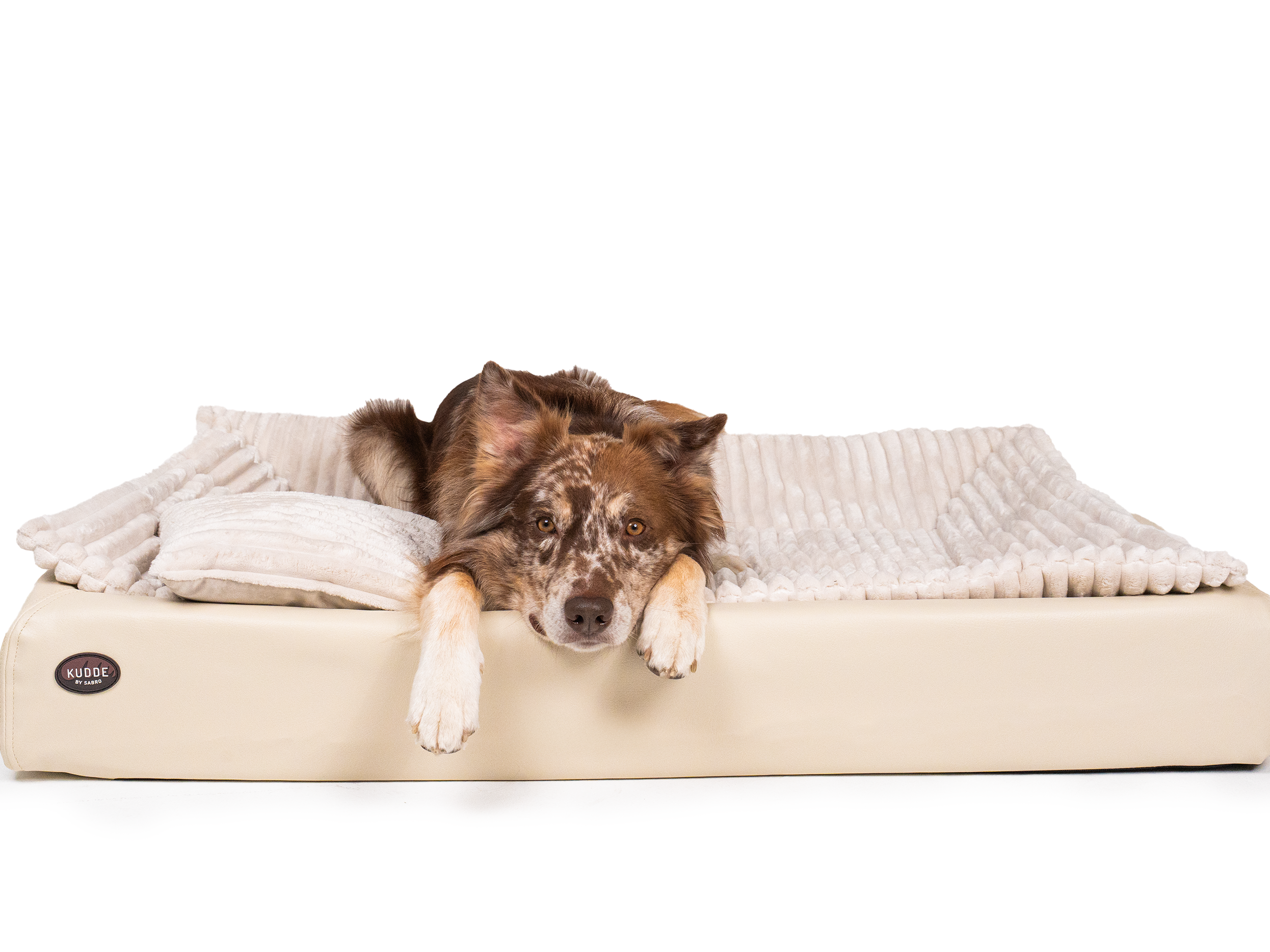 Pack Détente Complet | Lit pour chien KUDDE + Doublure & Coussin