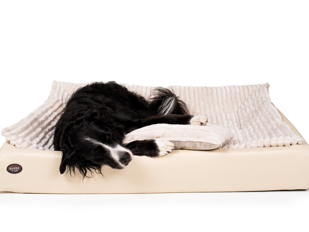Pack Détente Complet | Lit pour chien KUDDE + Doublure & Coussin