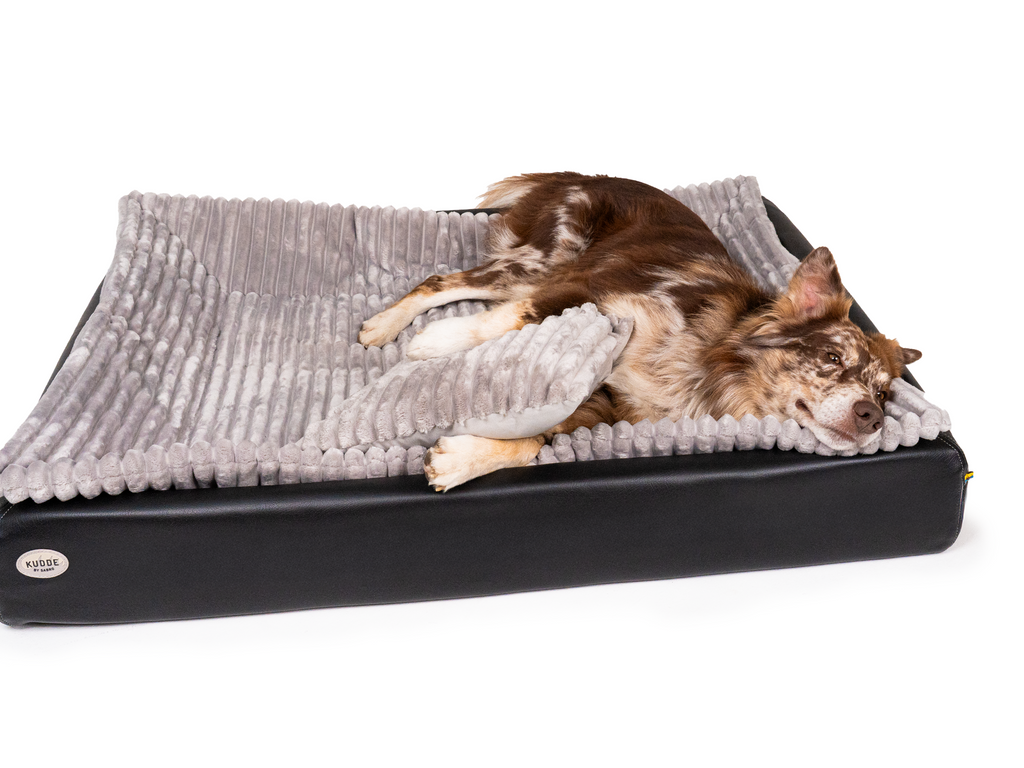 Pack Détente Complet | Lit pour chien KUDDE + Doublure & Coussin