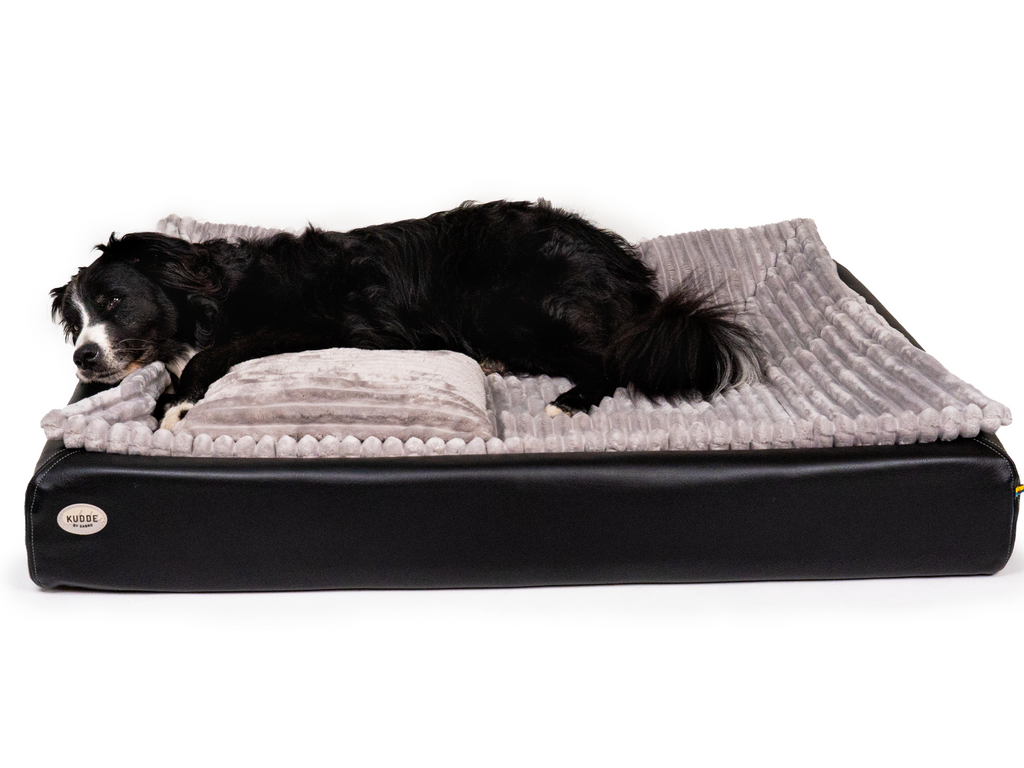 Pack Détente Complet | Lit pour chien KUDDE + Doublure & Coussin