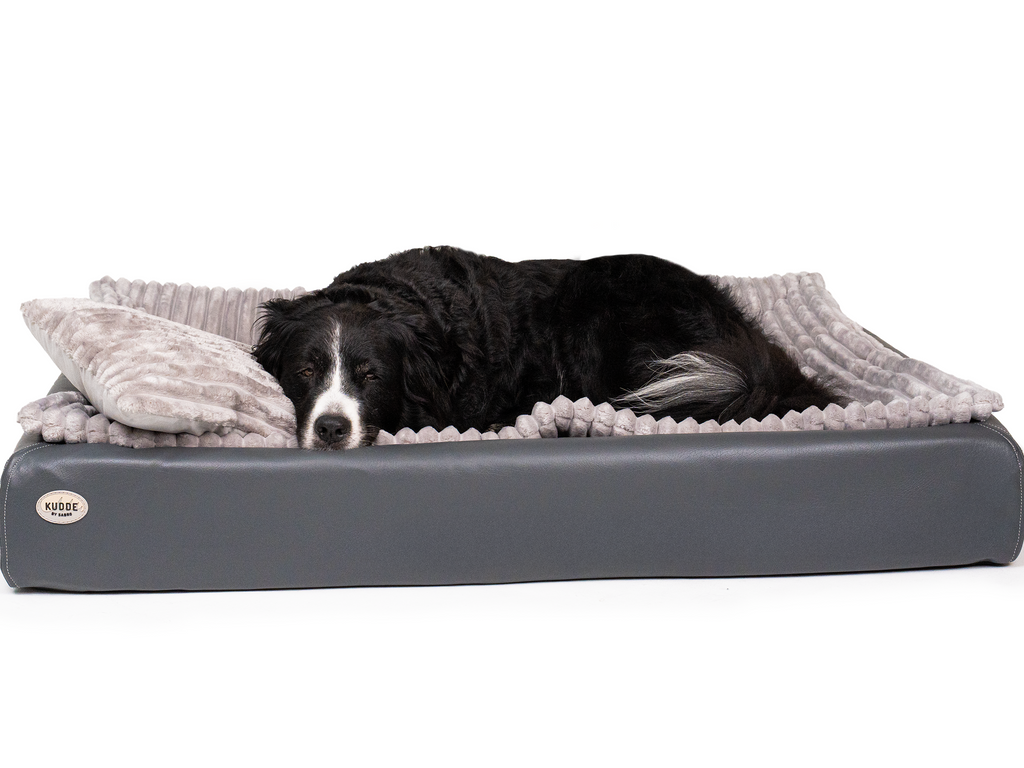 Pack Détente Complet | Lit pour chien KUDDE + Doublure & Coussin