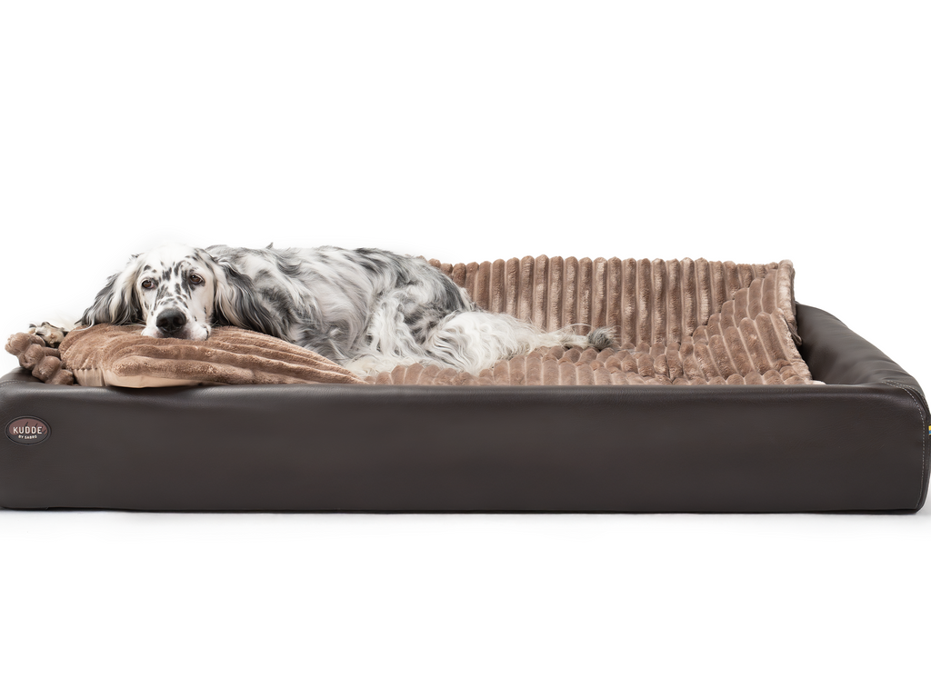 Pack Détente Complet | Lit pour chien KUDDE + Doublure & Coussin