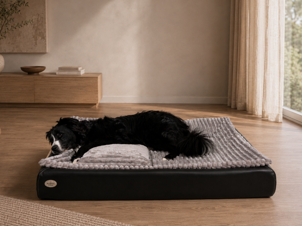 All-In Relax Bundle | KUDDE Hundebett + Einlage & Kissen