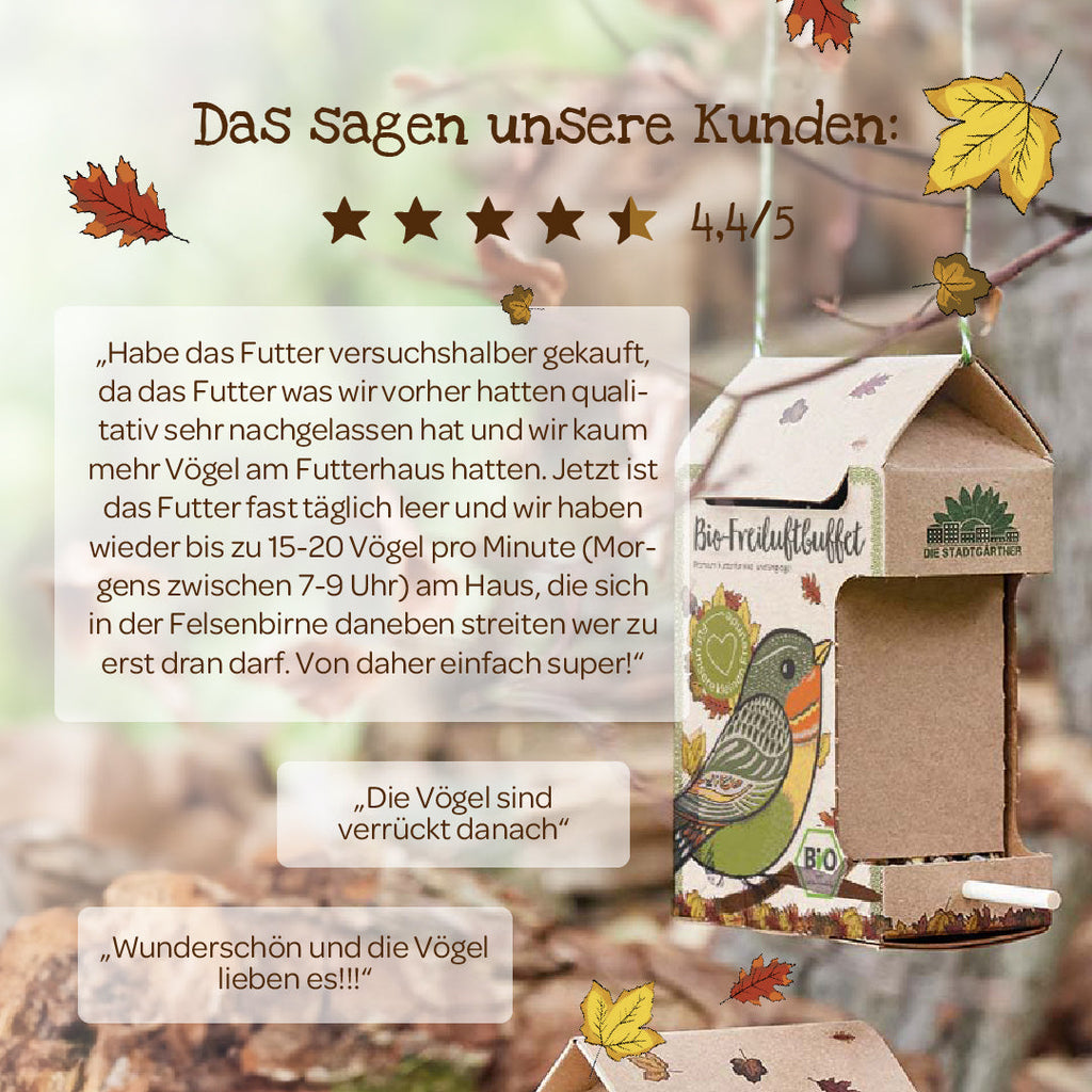 Buffet bio en plein air pour oiseaux