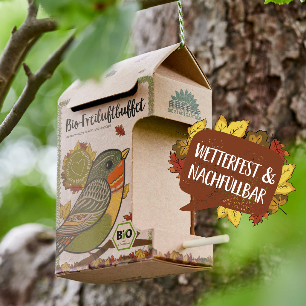 Buffet bio en plein air pour oiseaux