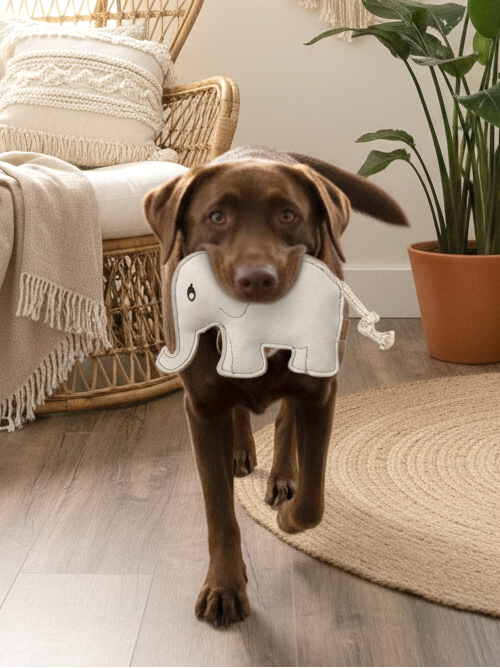 BUDDY. Jouet pour chien en cuir "Éléphant"
