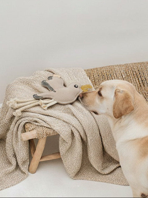 BUDDY. Jouet pour chien en cuir « Mouette »
