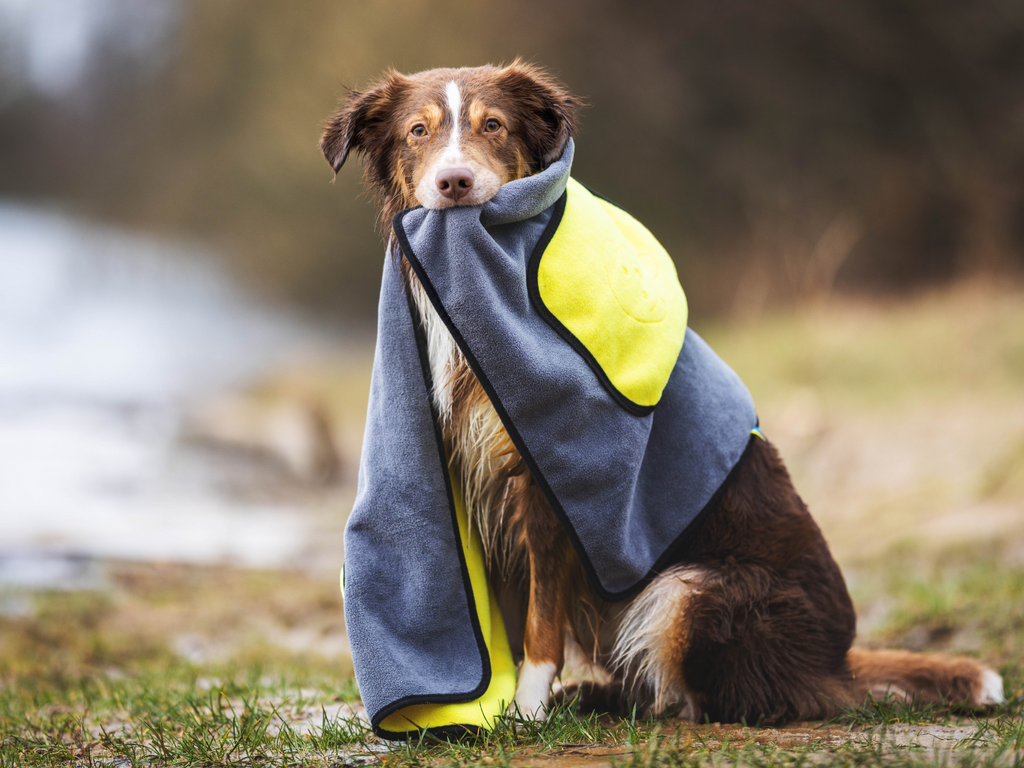 Serviette pour chiens BUDDY