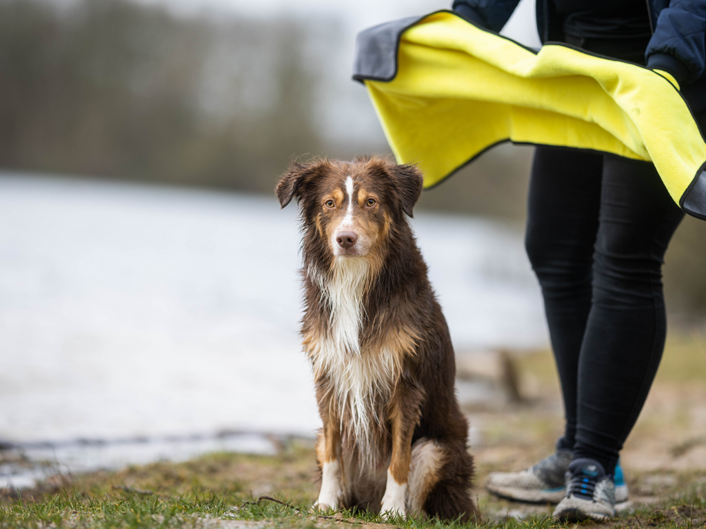 Serviette pour chiens BUDDY
