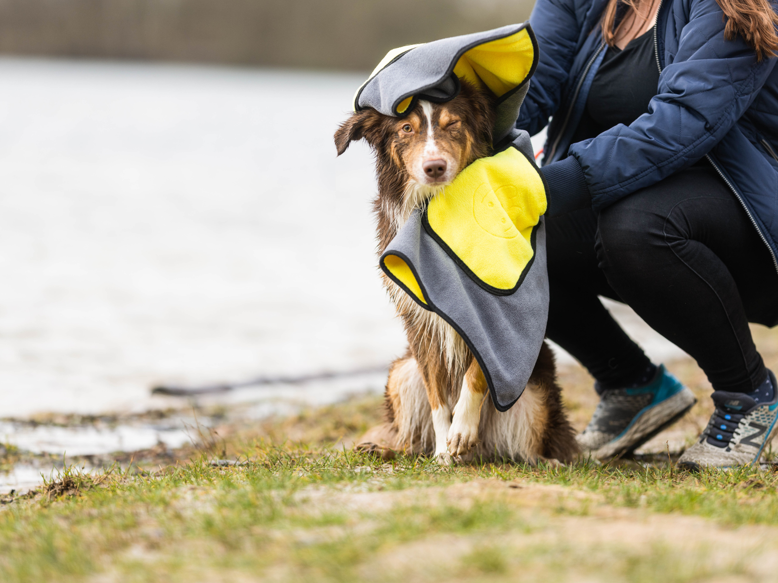 Serviette pour chiens BUDDY