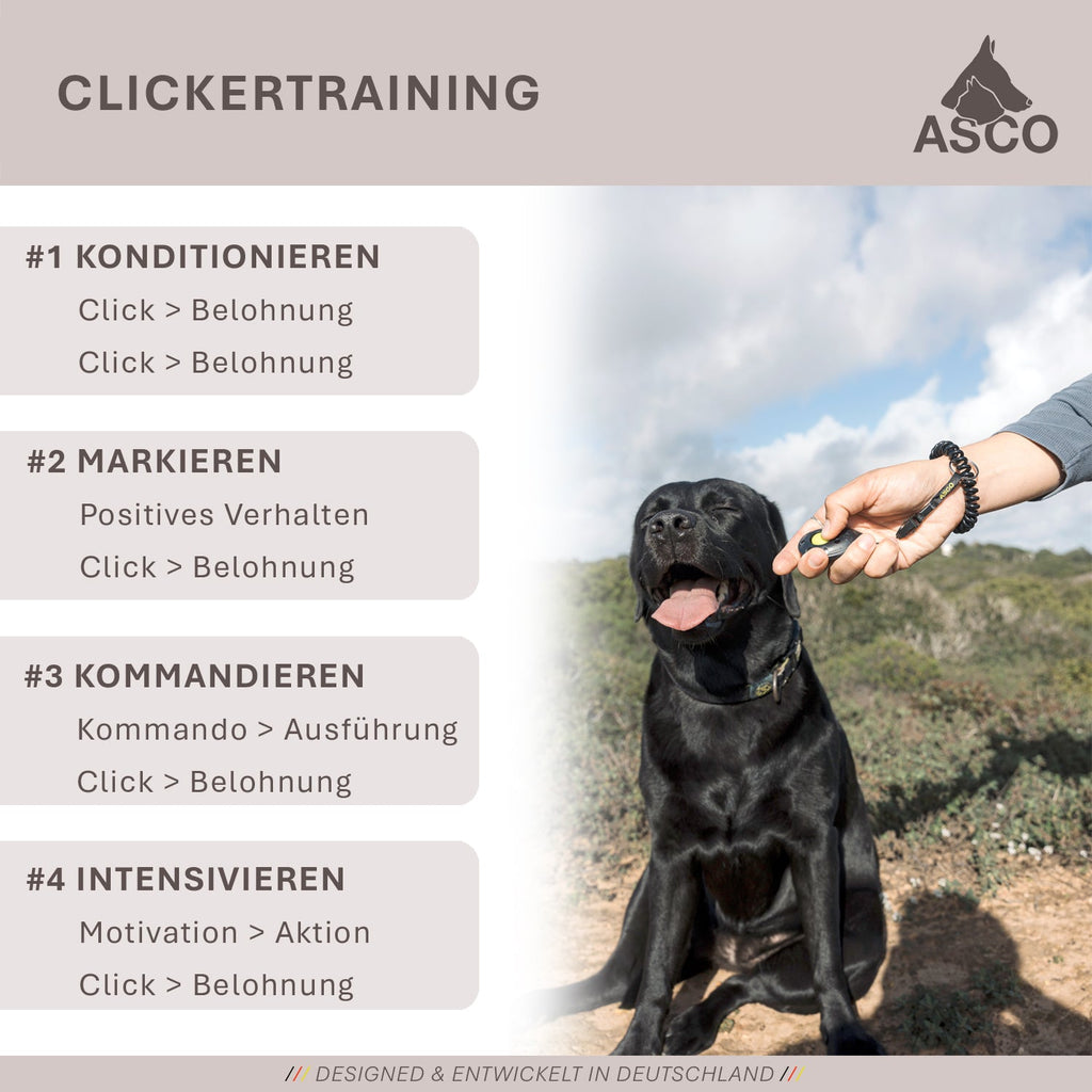 ASCO Target Stick - Bâton télescopique pour chiens et chats avec balle souple