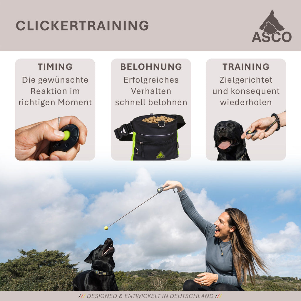 ASCO Target Stick - Bâton télescopique pour chiens et chats avec balle souple