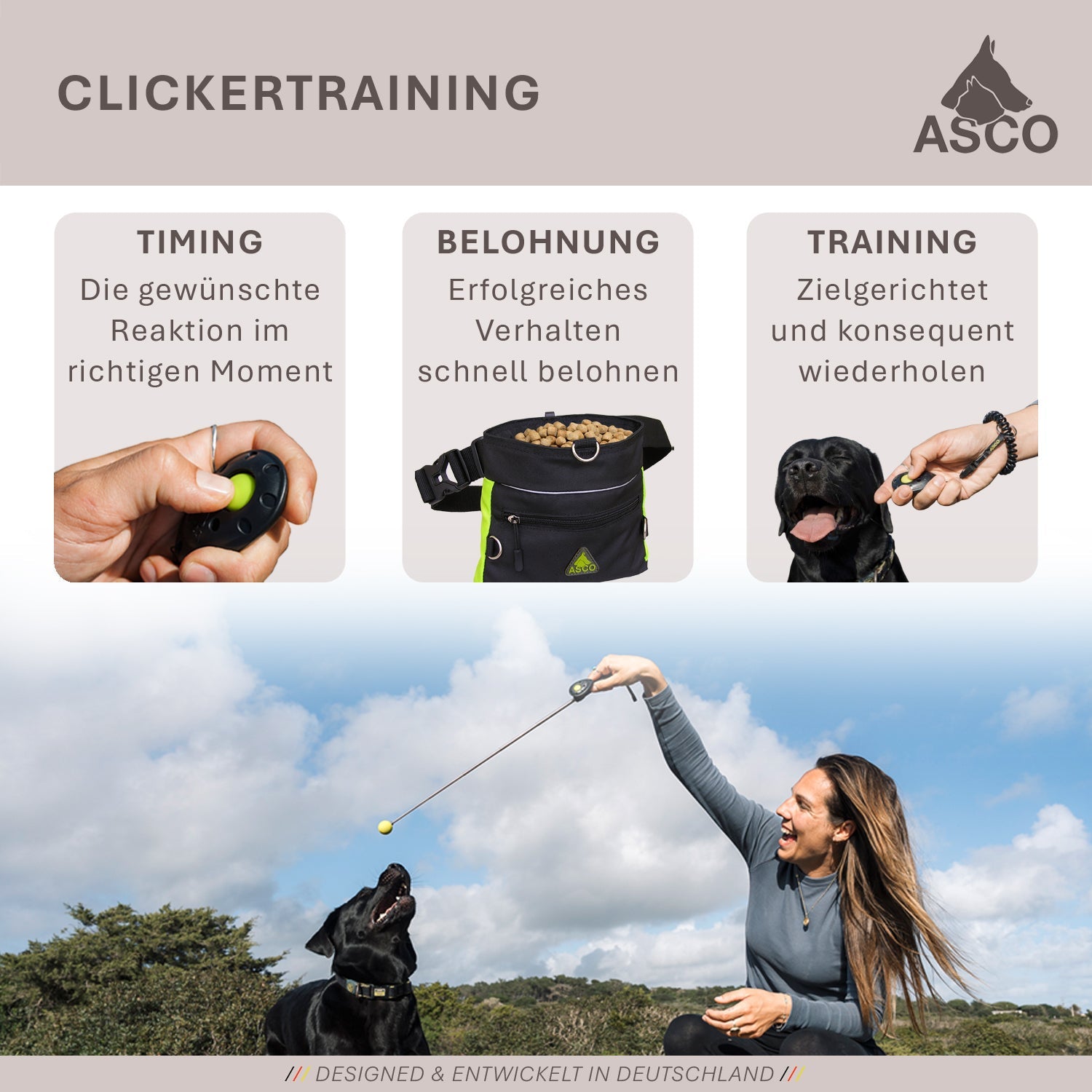 ASCO Target Stick - Bâton télescopique pour chiens et chats avec balle souple
