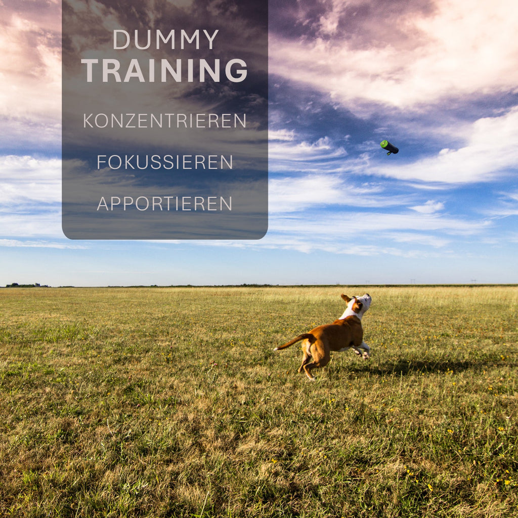 ASCO Dummy pour dressage de chiens, dummy d'apprentissage et de collation 21x7 cm