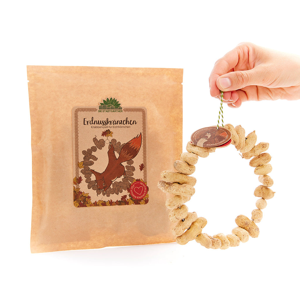 Peanut Wreaths – A Snack for Squirrels
