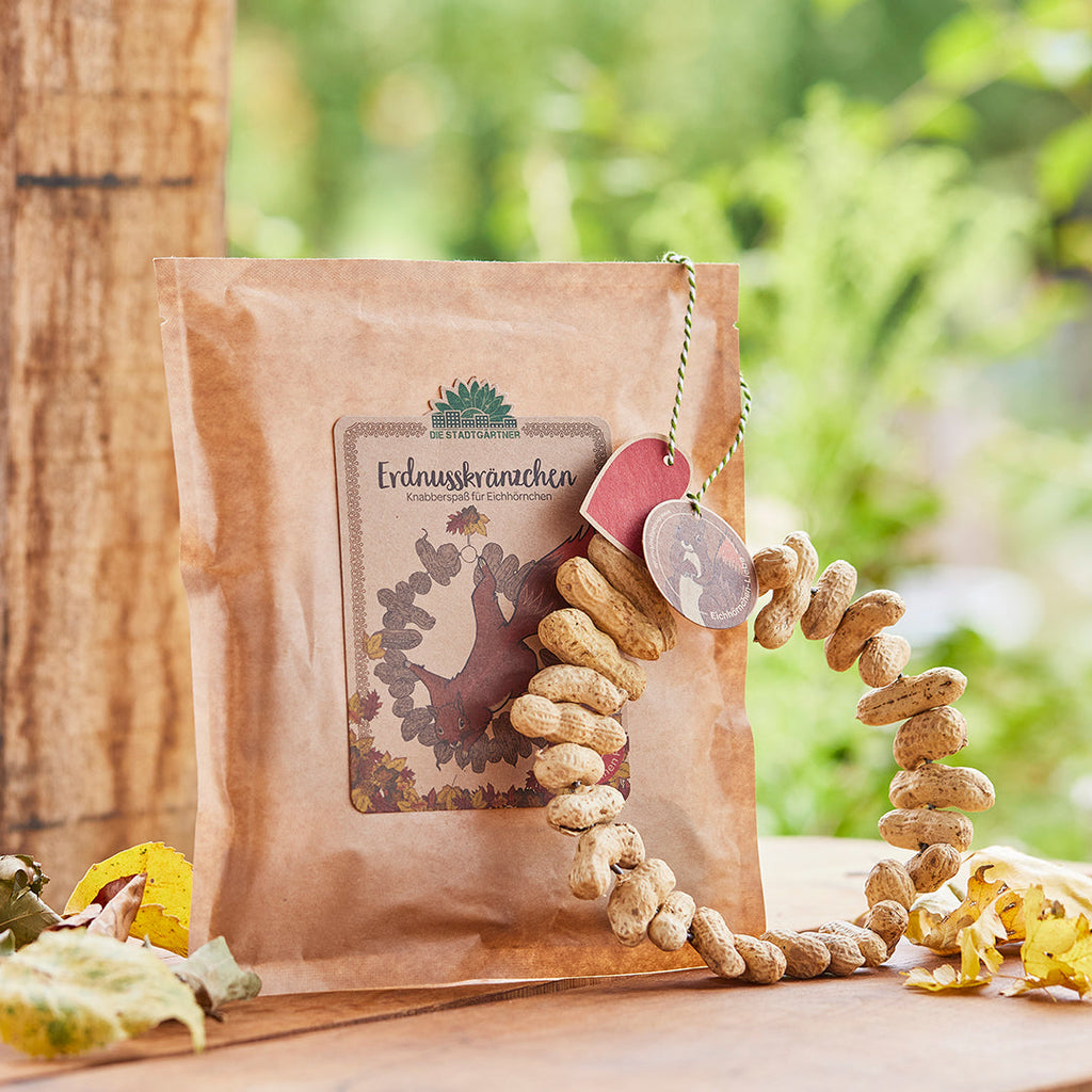 Peanut Wreaths – A Snack for Squirrels