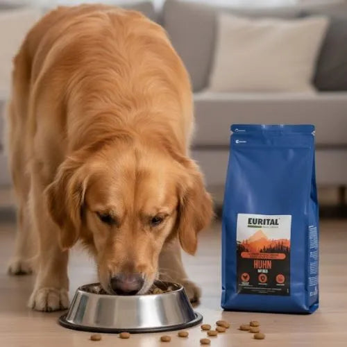 Eurital Basic Choice Poulet et Riz – Croquettes Premium pour grands chiens