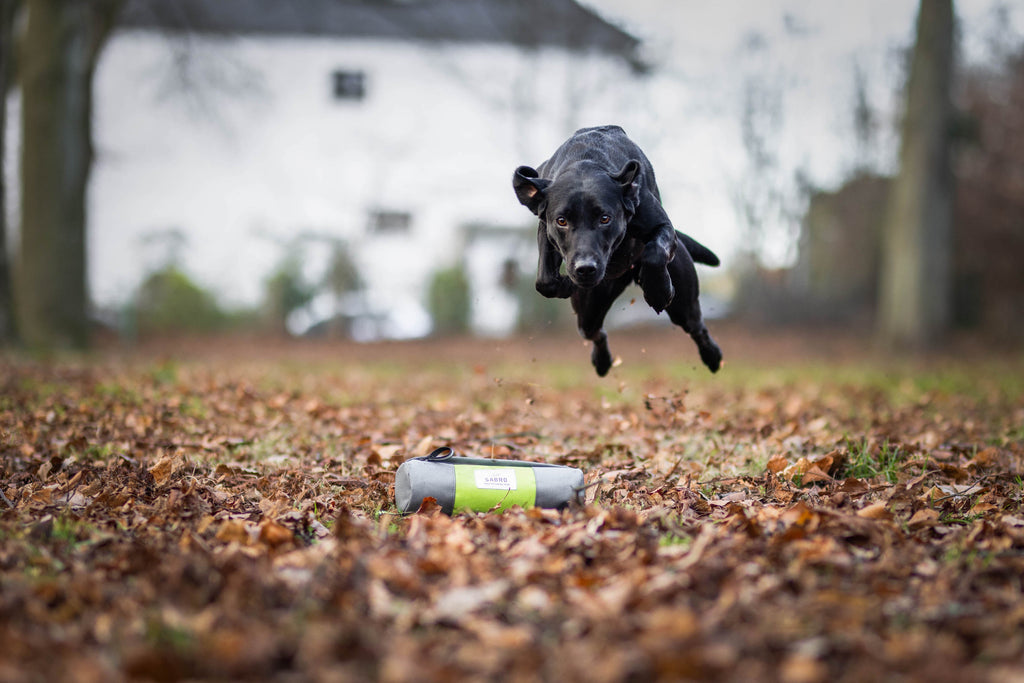 Dummy for food retrieval training