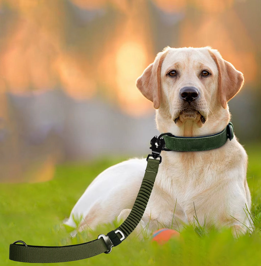Kurzleine ruckdämpfend, Bungee, schwarz ・ideal für große Hunde