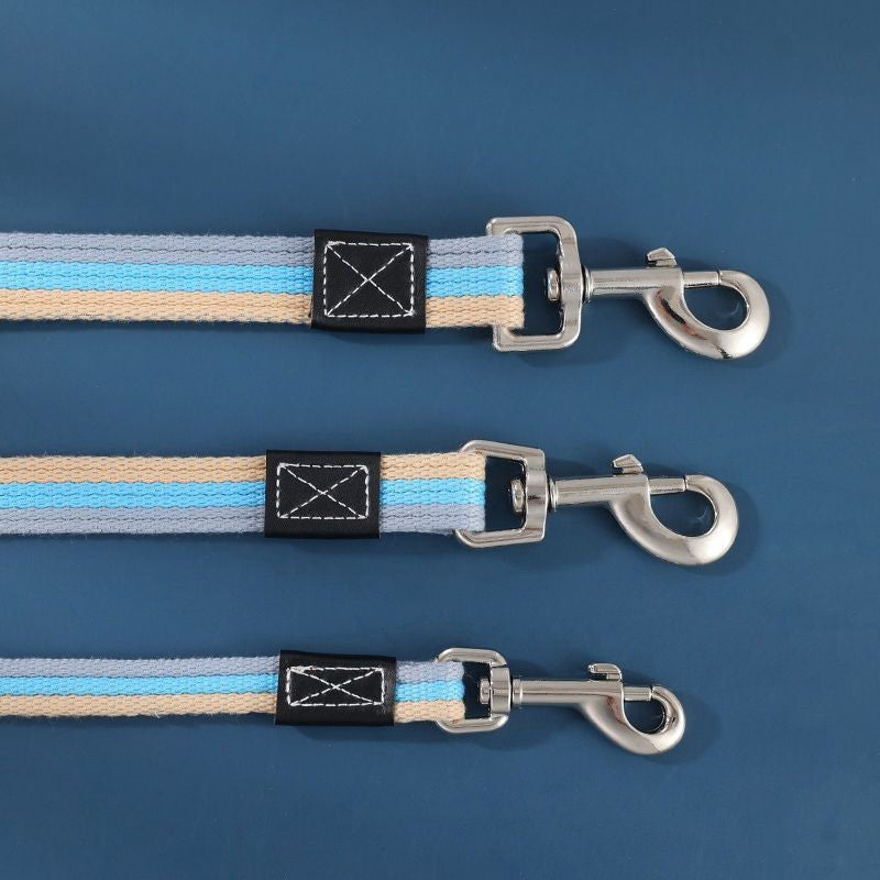 Hundeleine Polyester Streifen Boho Design 2cm x 150cm – super als Set mit passendem Hundehalsband