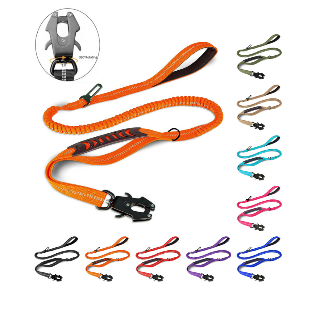 Laisse pour chien avec amortisseur, élastique, nylon robuste, 120-178cm, mousqueton - Auto