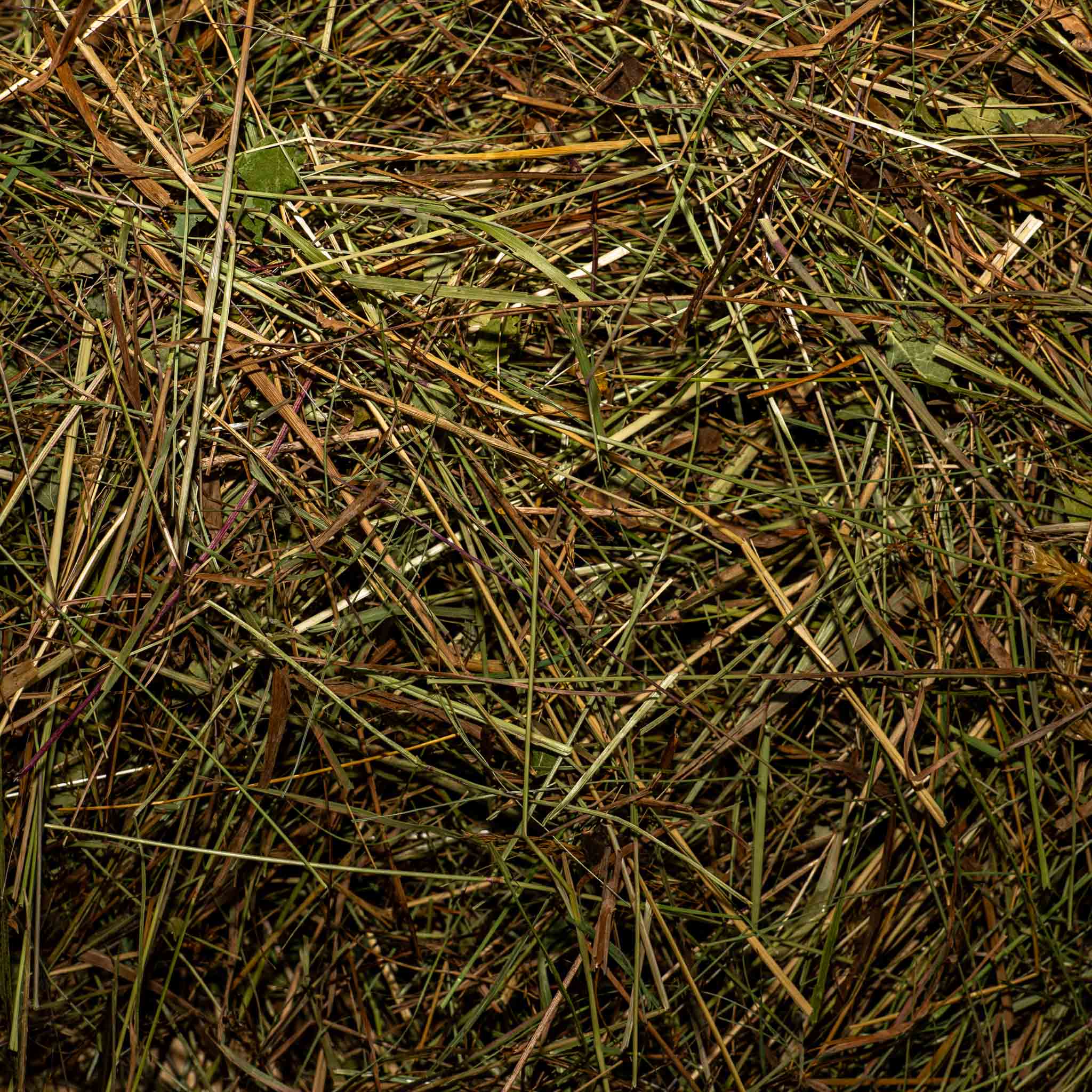 Foin de prairie naturel Basic
