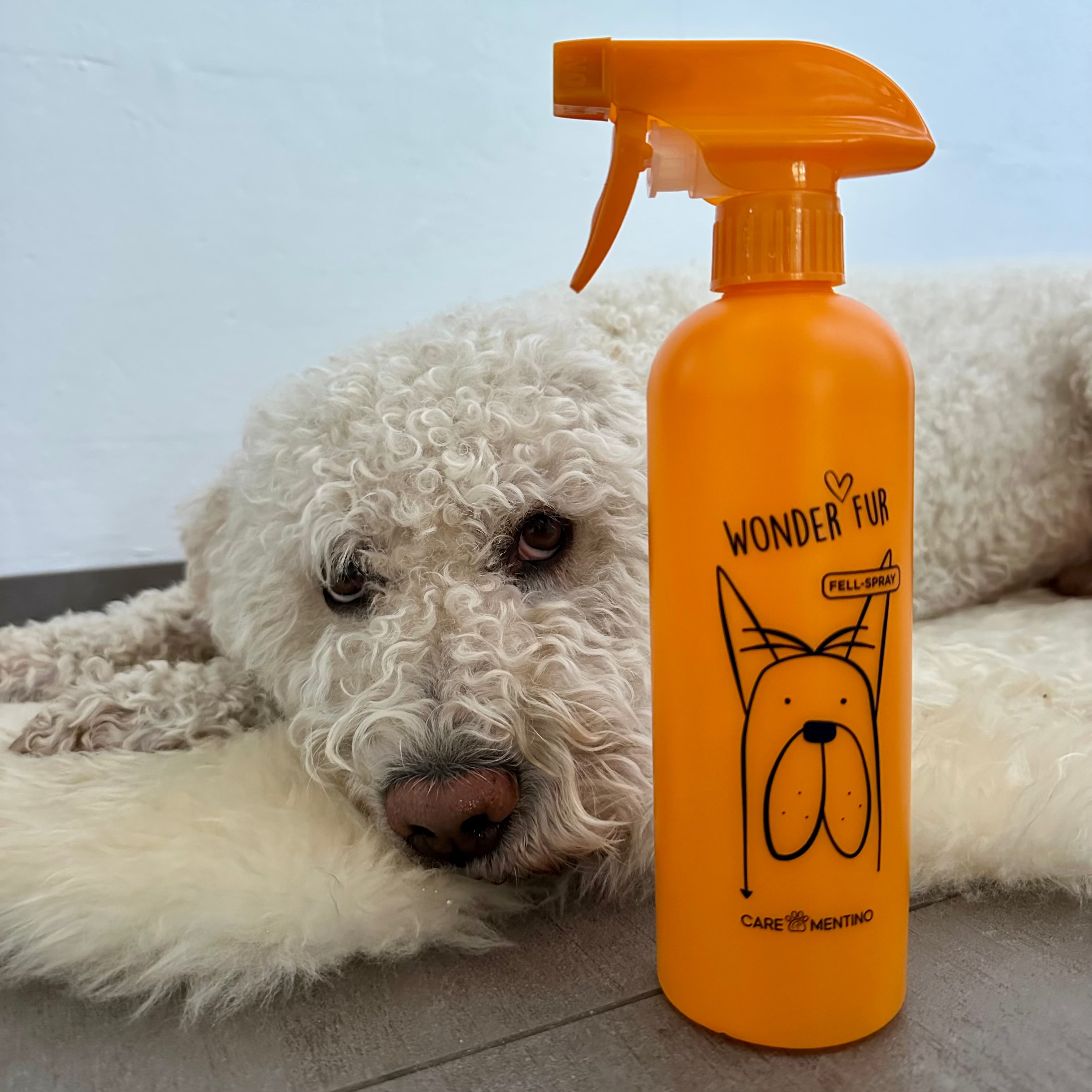 Wonder Fur Starter Set - Spray démêlant