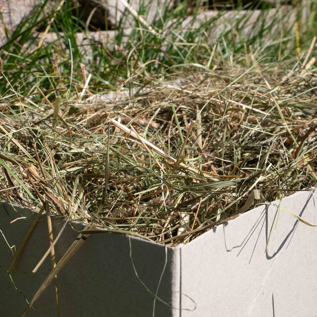 Foin de prairie naturel Basic
