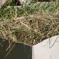 Foin de prairie naturel Basic